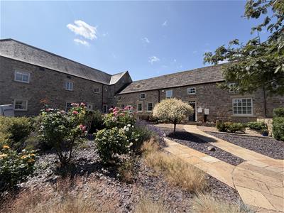 Picture 21
